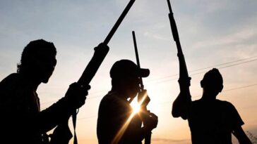 Gunmen kill polytechnic's deputy registrar in South-east