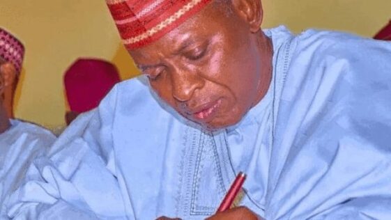 Lawyers divided over kano governorship election tribunal verdict | the guardian nigeria news