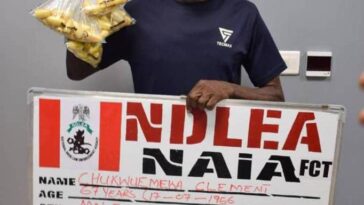 NDLEA Arrests Chukwuemeka Clement for Ingesting 100 Wraps of Cocaine