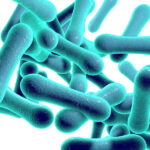 Nigeria Records Surge In Diphtheria Infections Nigeria records surge in diphtheria infections