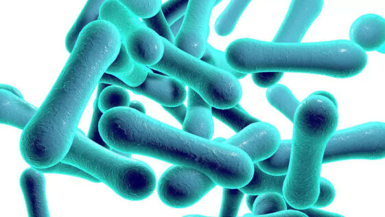 Nigeria Records Surge In Diphtheria Infections Nigeria records surge in diphtheria infections