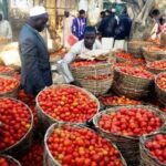 Nigerians groan under weight of tomato prices
