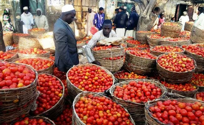 Nigerians groan under weight of tomato prices