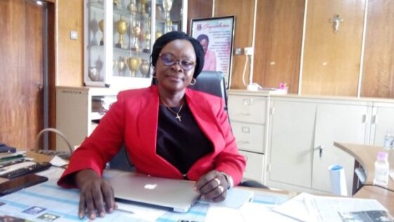 Veterinarians’ deficit affecting livestock producing population - iar&t  | the guardian nigeria news