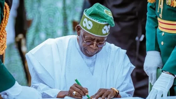 Close-up portrait of president bola tinubu in traditional attire.